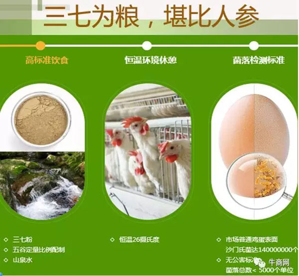 營銷型包裝的客戶產(chǎn)品，三七雞蛋