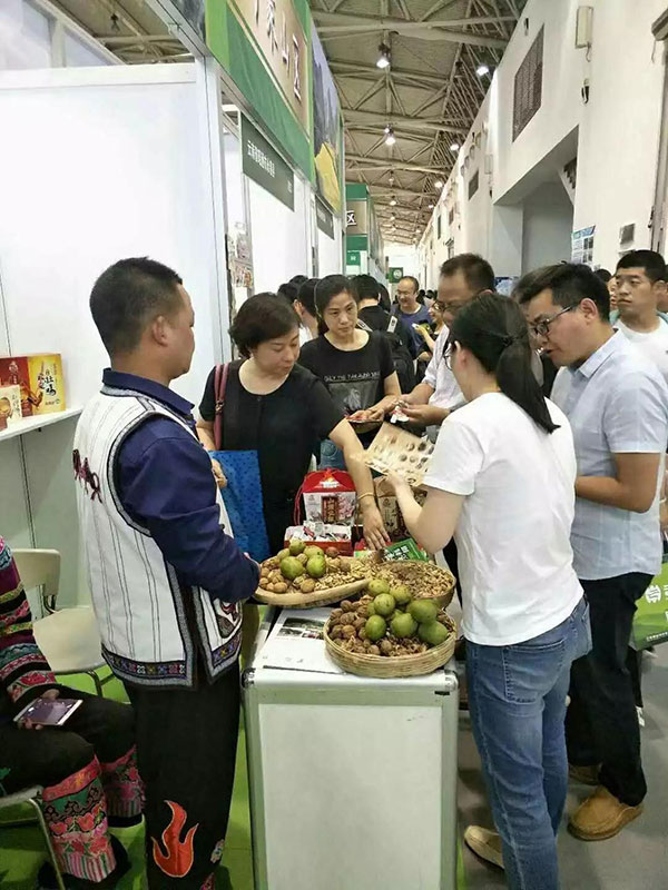 云南薄殼核桃參展現(xiàn)場火爆