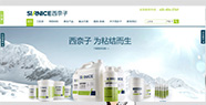 【東莞營銷型網(wǎng)站】西奈子孵化項目案例展示