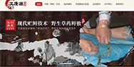 醫(yī)院網站建設方案，漢康源另辟蹊徑“掘金”