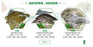 產(chǎn)業(yè)鏈整合的成功案例