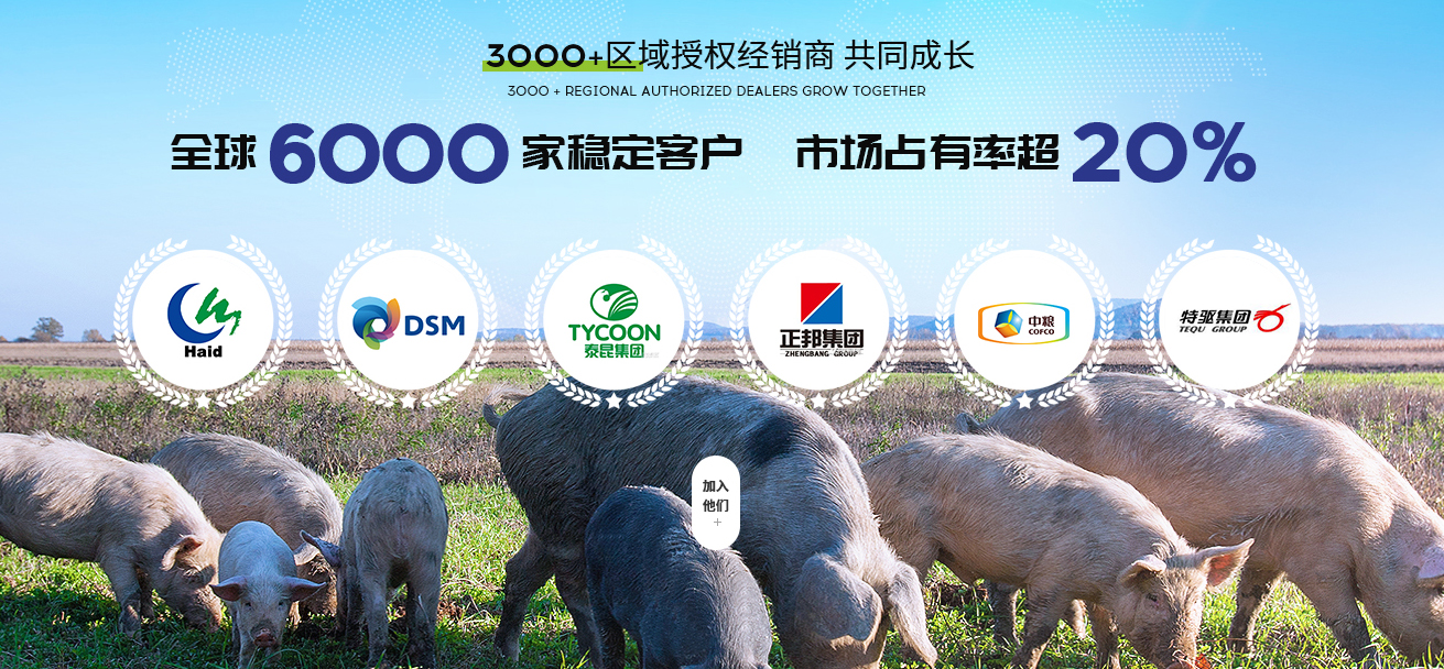 四川吉隆達(dá)生物科技集團(tuán)有限公司營(yíng)銷型網(wǎng)站建設(shè)進(jìn)行中