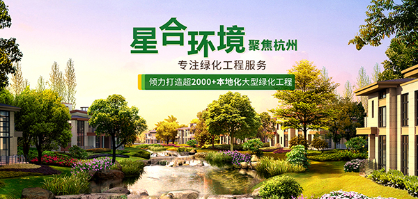 杭州星合環(huán)境工程有限公司營銷型網(wǎng)站建設(shè)進行中