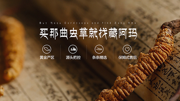 廣東金珠瑪米生物科技有限公司營銷型網(wǎng)站建設(shè)進(jìn)行中