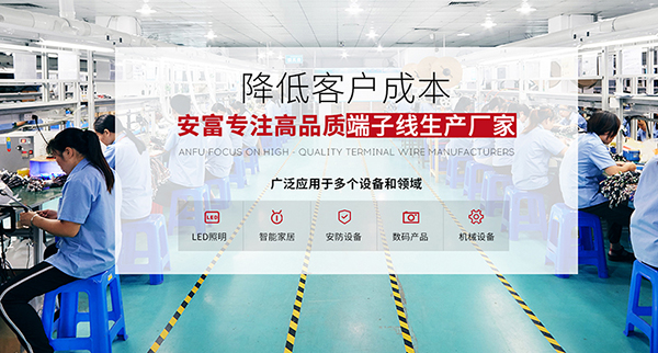 廣東省安富電器有限公司營銷型網(wǎng)站建設(shè)進(jìn)行中