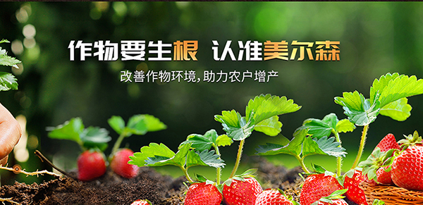河南美爾森農(nóng)業(yè)科技有限公司營銷型網(wǎng)站建設(shè)進行中
