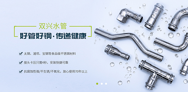 廣東雙興新材料集團(tuán)有限公司-營銷型網(wǎng)站案例展示